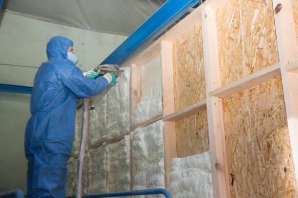 Range of Insulation Solutions in Kihei, HI