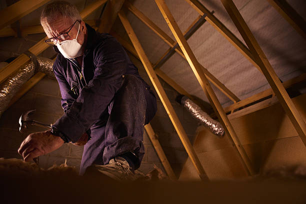 Attic Insulation Near Me in Kihei, HI